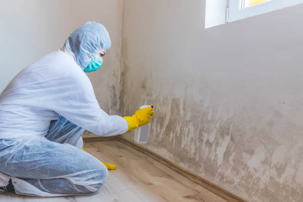 Mold inspector in Mcdaniel performing thermal imaging